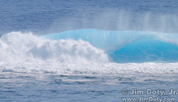 Tahitian Wave