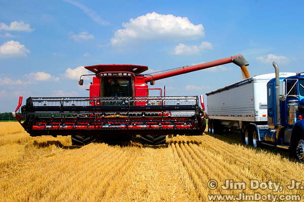 040702_wheat_ combine_10E2_9188_j4